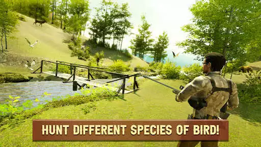 Play Bird Hunting Simulator 2022 as an online game Bird Hunting Simulator 2022 with UptoPlay