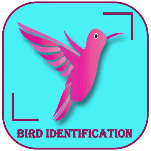 Play Bird Identification Scanner APK Play Bird Identification Scanner APK