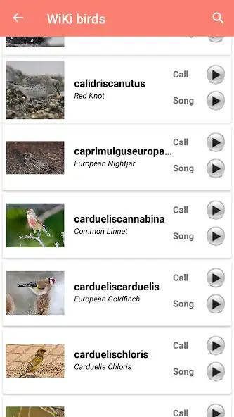 Play Bird Identification as an online game Bird Identification with UptoPlay