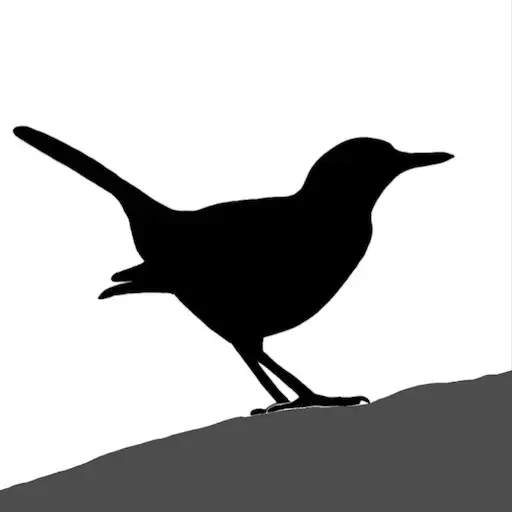 Play Bird ID Master APK Play Bird ID Master APK