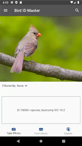 Play Bird ID Master  and enjoy Bird ID Master with UptoPlay