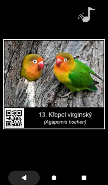 Play BirdieCZ as an online game BirdieCZ with UptoPlay
