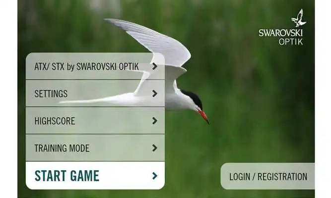 Play Birdinggame Play Birdinggame