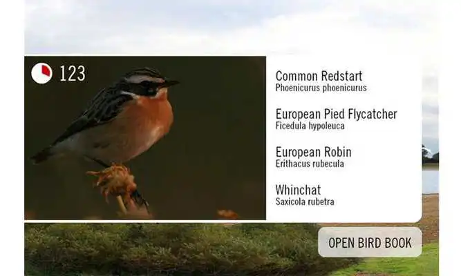 Play Birdinggame Play Birdinggame