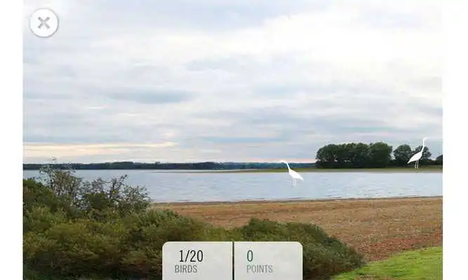 Play Birdinggame Play Birdinggame