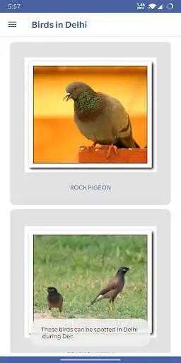 Play Birding Simplified as an online game Birding Simplified with UptoPlay