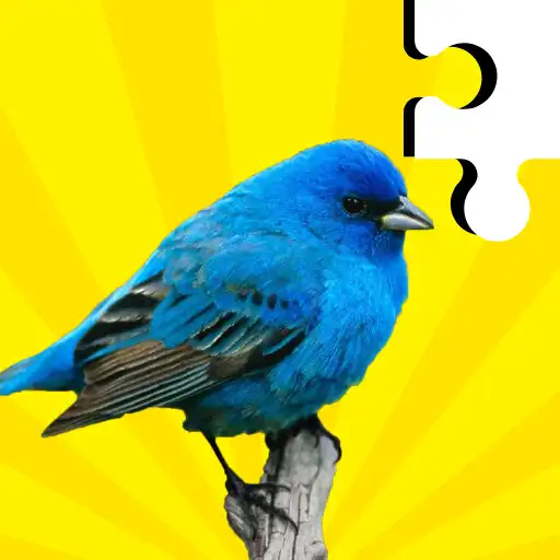 Play Bird Jigsaw - Puzzle Games APK