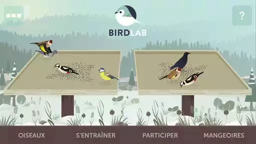 Play BirdLab  and enjoy BirdLab with UptoPlay