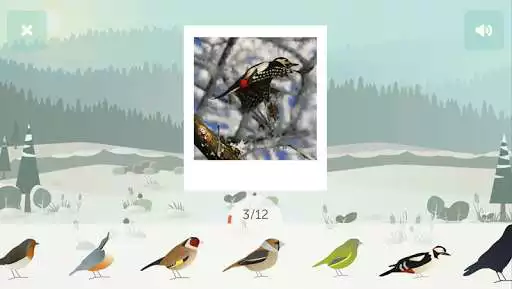 Play BirdLab as an online game BirdLab with UptoPlay