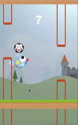 Play Bird Love Football