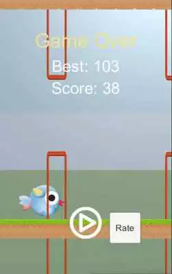Play Bird Love Football