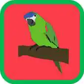 Free play online Bird Matching Game APK Free play online Bird Matching Game APK