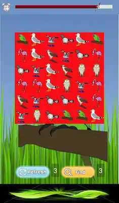 Play Bird Matching Game