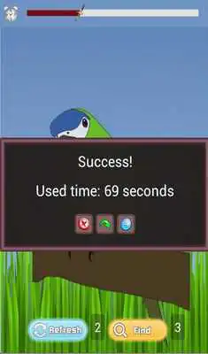 Play Bird Matching Game