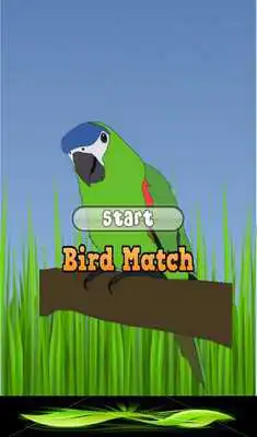 Play Bird Matching Game