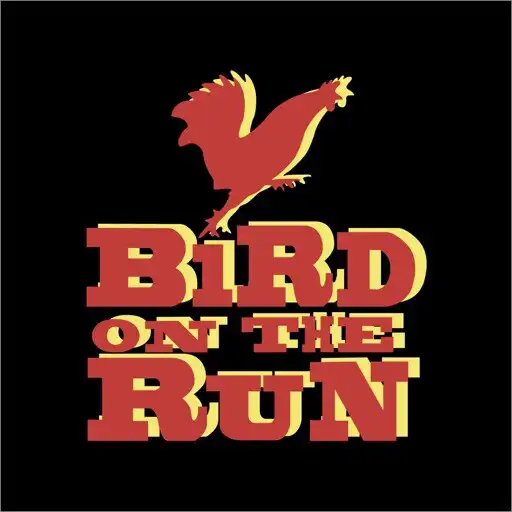 Play Bird On The Run APK Play Bird On The Run APK