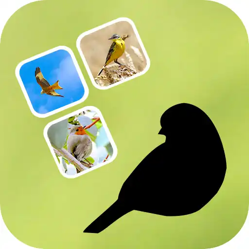 Play Bird Pairs - Paare Suchen APK