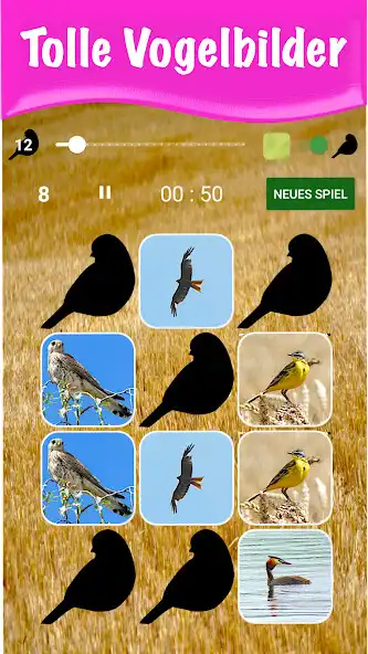 Play Bird Pairs - Paare Suchen  and enjoy Bird Pairs - Paare Suchen with UptoPlay