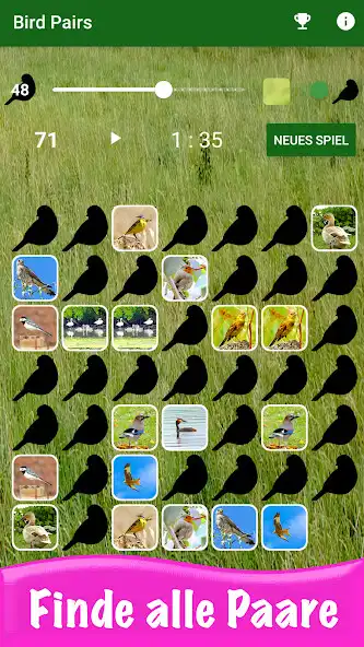 Play Bird Pairs - Paare Suchen as an online game Bird Pairs - Paare Suchen with UptoPlay