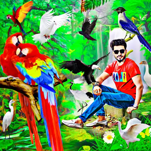 Play Bird photo editor frames APK