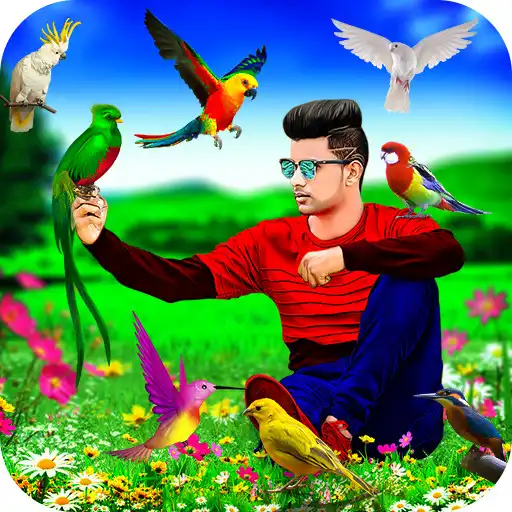 Play Bird Photo Editor APK Play Bird Photo Editor APK