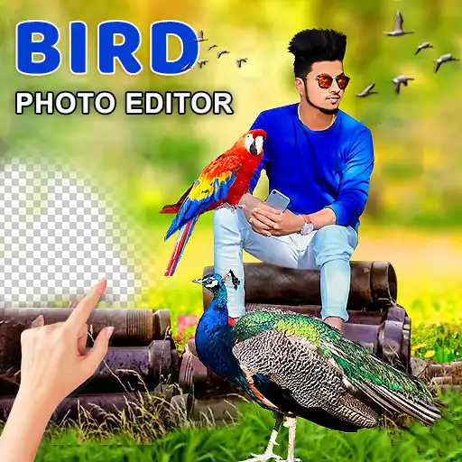 Play Bird Photo Frame : Cut Cam Editor APK Play Bird Photo Frame : Cut Cam Editor APK