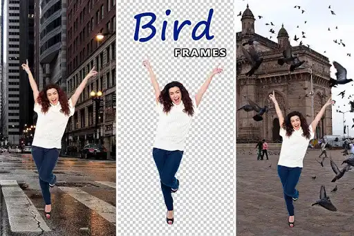 Play Bird Photo Frame : Cut Cam Editor as an online game Bird Photo Frame : Cut Cam Editor with UptoPlay