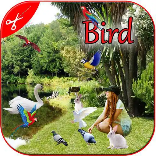 Play Bird Photo Frame : Cut Paste Editor APK Play Bird Photo Frame : Cut Paste Editor APK
