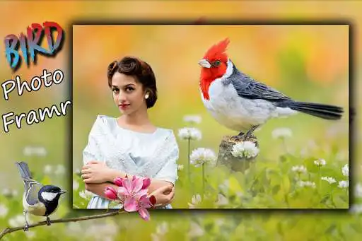Play Bird Photo Frame : Cut Paste Editor  and enjoy Bird Photo Frame : Cut Paste Editor with UptoPlay