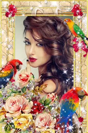 Play Bird Photo Frame  and enjoy Bird Photo Frame with UptoPlay