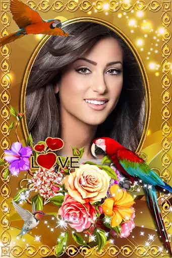 Play Bird Photo Frame as an online game Bird Photo Frame with UptoPlay