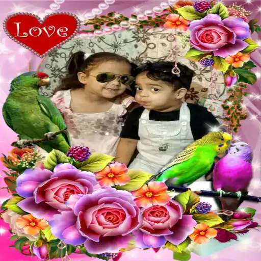 Play Bird Photo Frames Editor: DP, APK Play Bird Photo Frames Editor: DP, APK