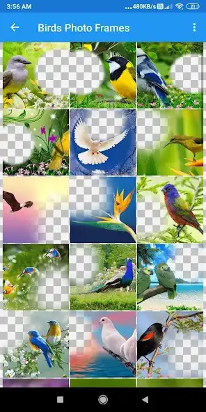 Play Bird Photo Frames Editor: DP,  as an online game Bird Photo Frames Editor: DP,  with UptoPlay