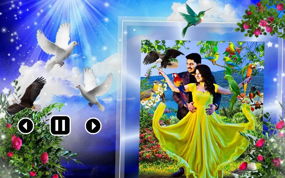 Play Bird photo video maker song  and enjoy Bird photo video maker song with UptoPlay