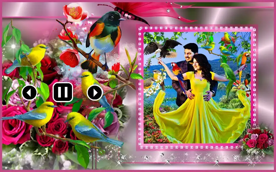 Play Bird photo video maker song as an online game Bird photo video maker song with UptoPlay