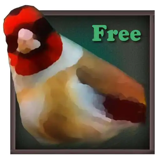 Free play online Birdquiz Free APK