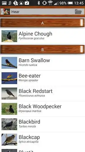 Play Birdquiz Free