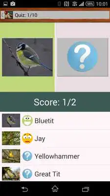 Play Birdquiz Free