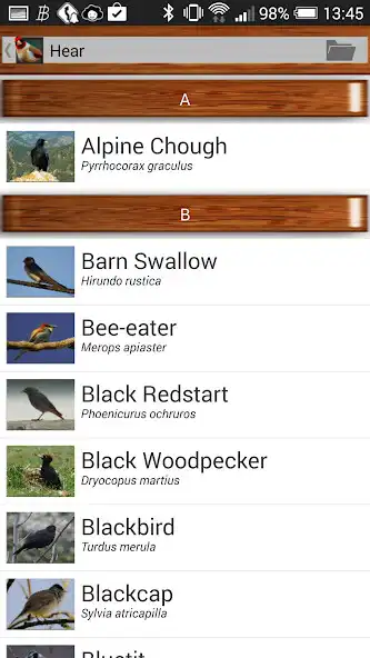 Play Birdquiz Pro as an online game Birdquiz Pro with UptoPlay