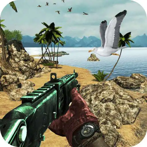 Free play online Bird Real Expert Hunter Shooting  APK