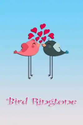 Play Bird Ringtones and sound