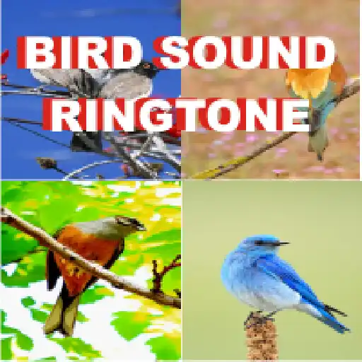 Play Bird Ringtones APK Play Bird Ringtones APK
