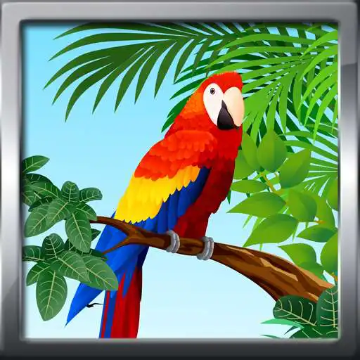 Play Bird Ringtones Prank APK Play Bird Ringtones Prank APK