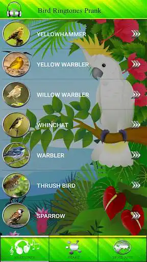 Play Bird Ringtones Prank as an online game Bird Ringtones Prank with UptoPlay