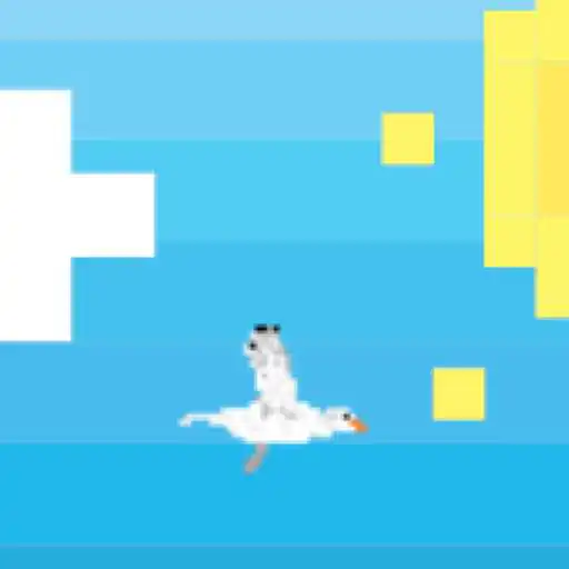 Play Bird Runners APK
