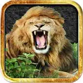 Free play online Birds and Animals voices APK Free play online Birds and Animals voices APK