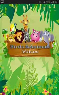 Play Birds and Animals voices