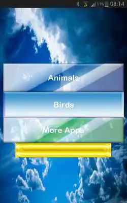 Play Birds and Animals voices