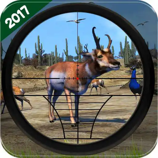 Play Birds & Animals Hunting 3D APK Play Birds & Animals Hunting 3D APK