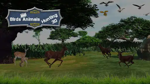 Play Birds & Animals Hunting 3D  and enjoy Birds & Animals Hunting 3D with UptoPlay